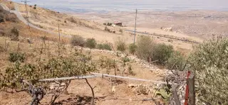 Land for sale in Kafr Hooda – photo 7