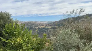 Land for sale in Wadi Shua'ib