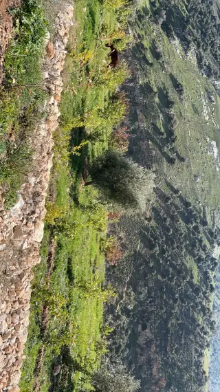Land for sale in Wadi Shua'ib – photo 6