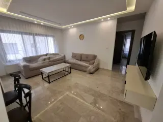 الصورة 3 من 12
