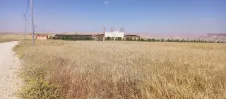 Land for sale in Thiban – photo 2
