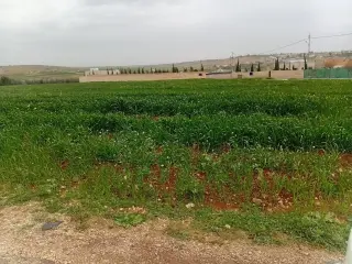 أرض للبيع في Mai'n – صورة 6
