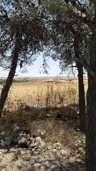 Land for sale in Madaba Center – photo 8