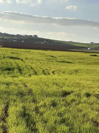 Land for sale in Madaba Center – photo 3