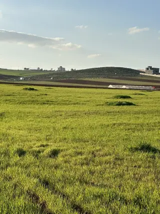Land for sale in Madaba Center
