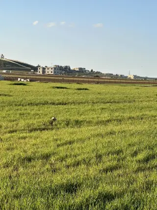 Land for sale in Madaba Center – photo 2