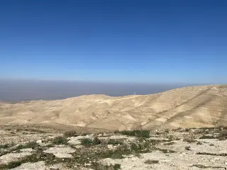 Land for sale in Al-Fayha' – photo 3