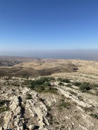 Land for sale in Al-Fayha' – photo 4