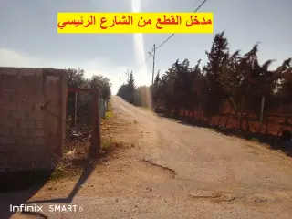 أرض للبيع في Al-Fayha' – صورة 9