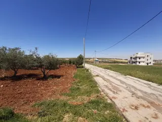 أرض للبيع في Al-Fayha' – صورة 6