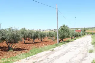 أرض للبيع في Al-Fayha' – صورة 2