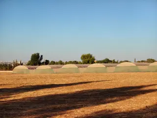 Land for sale in Manja – photo 6