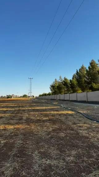 Land for sale in Manja – photo 3