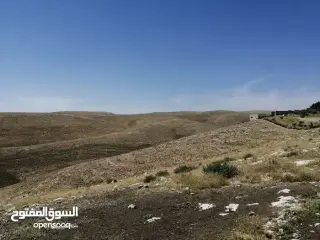 Land for sale in lob