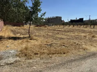 Land for sale in Juraynah – photo 3