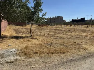 Land for sale in Juraynah