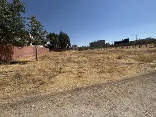 Land for sale in Juraynah – photo 2