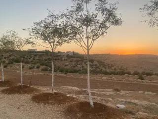 Land for sale in Mkawer