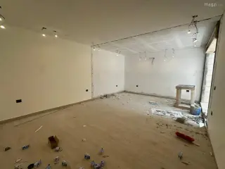 الصورة 10 من 11