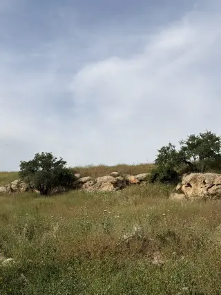 Land for sale in Other – photo 2