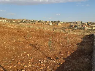 أرض للبيع في أخرى – صورة 2
