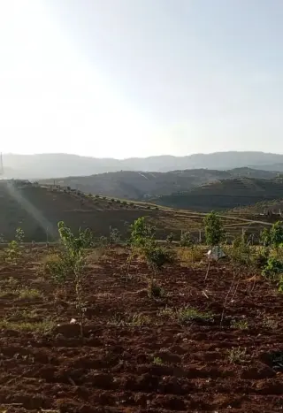 أرض للبيع في Unaybah – صورة 3