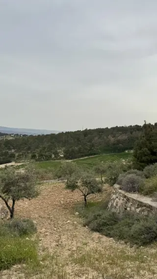 Land for sale in Tal Al-Rumman – photo 3