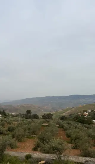 Land for sale in Tal Al-Rumman