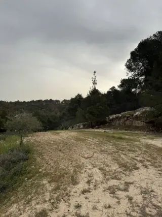 Land for sale in Tal Al-Rumman – photo 4