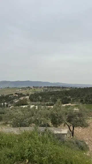 Land for sale in Tal Al-Rumman – photo 2
