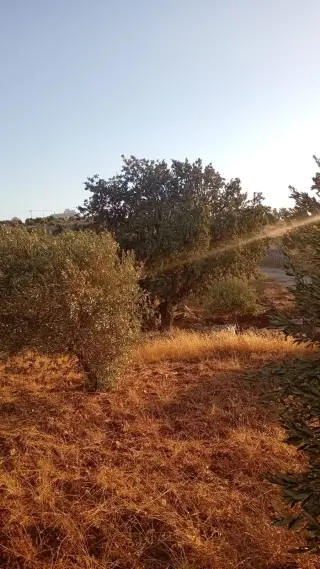 Land for sale in Marsa' – photo 4