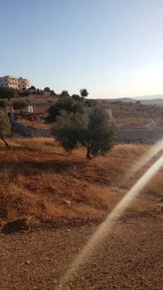 Land for sale in Marsa' – photo 13