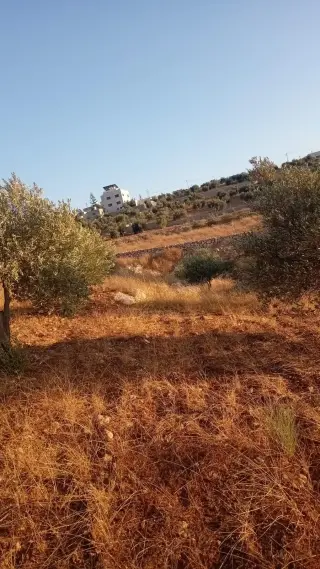 Land for sale in Marsa' – photo 3