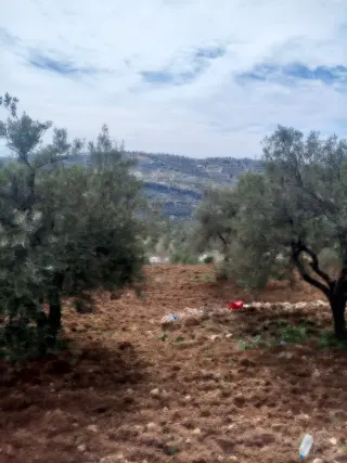 Land for sale in Soof