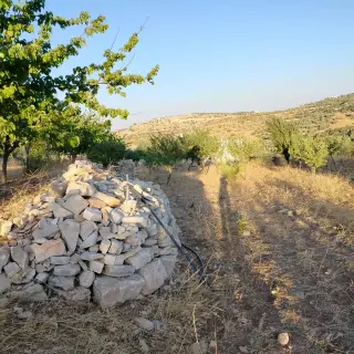أرض للبيع في Soof – صورة 8