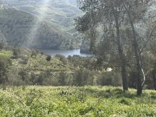 أرض للبيع في Borma – صورة 5