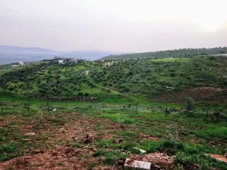 Land for sale in Borma