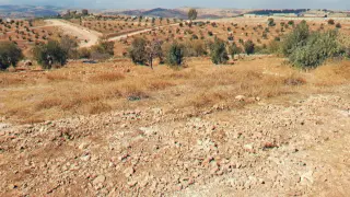 Land for sale in Dahl – photo 2