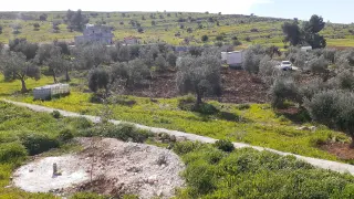 Land for sale in Dahl – photo 3