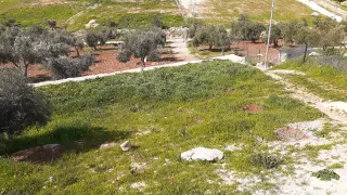 Land for sale in Dahl