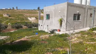 Land for sale in Dahl – photo 10