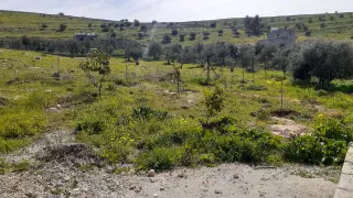 Land for sale in Dahl – photo 2