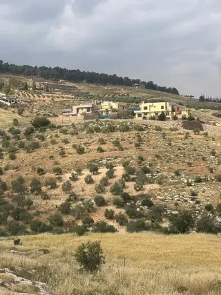 Land for sale in Al-Rashaida – photo 4
