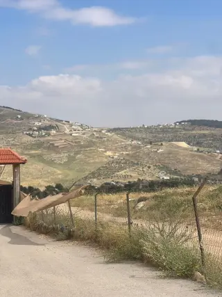 Land for sale in Al-Rashaida – photo 11