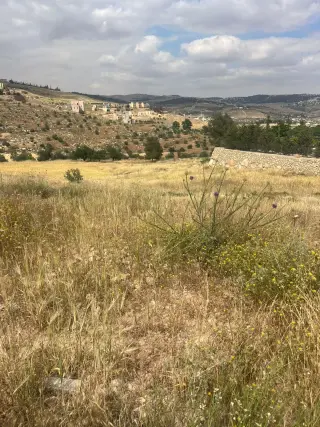 Land for sale in Al-Rashaida – photo 3