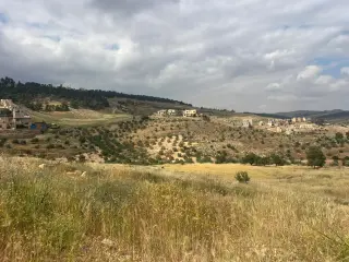 Land for sale in Al-Rashaida
