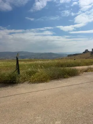 Land for sale in Al-Rashaida – photo 10