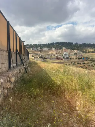 Land for sale in Al-Rashaida – photo 7