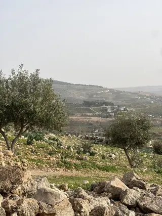 أرض للبيع في Al-Rashaida – صورة 12