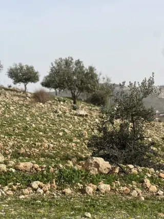 أرض للبيع في Al-Rashaida – صورة 19